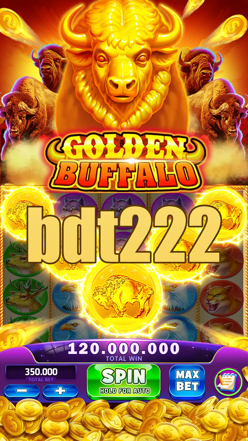 bdt222 লগইন